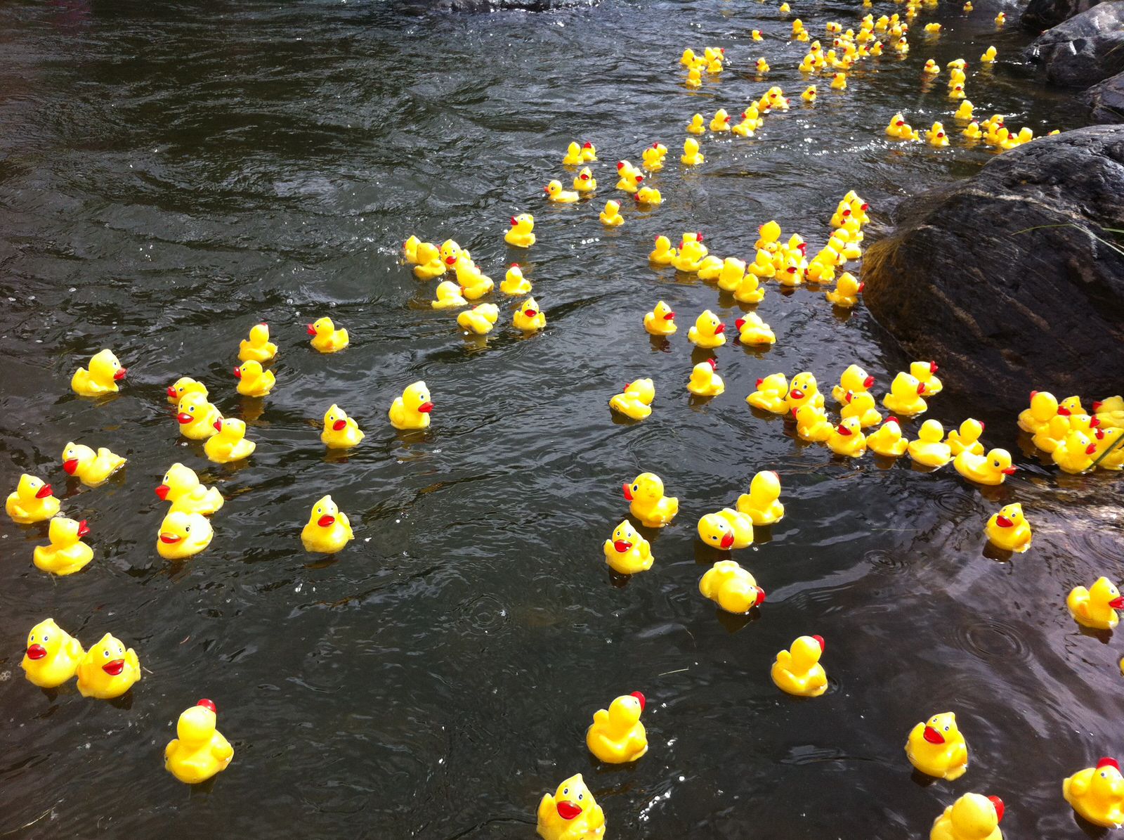 Great Rubber Duck Race Vacation Rentals Breckenridge